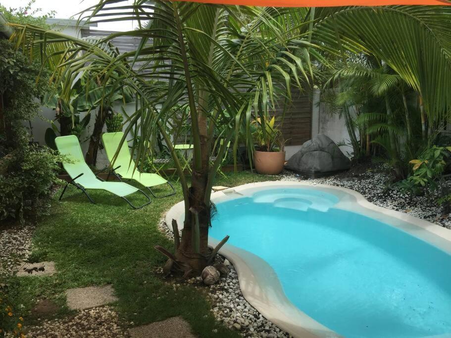 Le Nid D'Amour Avec Sa Piscine Et Jacuzzi Chauffes 圣若瑟 外观 照片